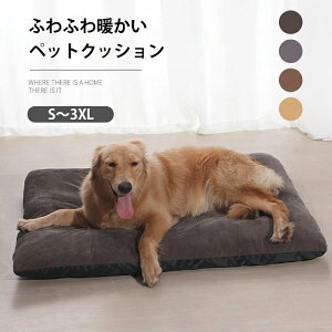 p`  L ^ ^ ^ 傫  O\ 􂦂 tl ӂӂ ӂӂ _炩