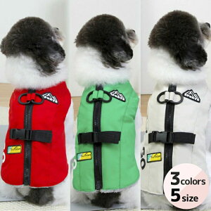 n[lX hbOEFA ybgEFA GO LET'S X|[eB[ oR WPbg _E xXg h ~ ˂ ʕ L