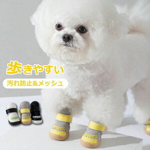 C pC ̌C ₷ EȂ C ~ Up C hbOV[Y ^ ΍ ybgV[Y