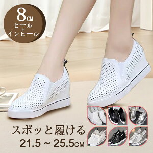  [t@[ [Jbg 傫TCY TCY Xj[J[ Cq[ bV Ƃ   fB[X