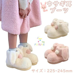 _炩 fB[X [gu[c   ETM g  fB[X [V[Y ~C N  