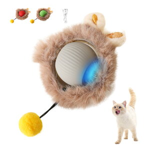 y  lR ^s ˂ XgX  Type-C[d 3[h\ L {[ L  