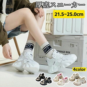  ʊw s ꂢ  AEghA d W L ^C X|[cV[Y y ʋC V[Y fB[X