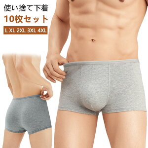 ЊQ  h 傫TCY s @ jp p Y Y ĝĉ pc jp L-4XL {NT[ 10