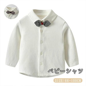 zCg { 100% Vc LbY  H  q Ԃ ݕt lN^Ct j̎q Vc tH[}