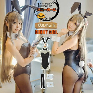 w Ղ ~jXJ RX   RXvߑ Ch  RXv ZNV[ oj[ ߑ nEB oj[K[