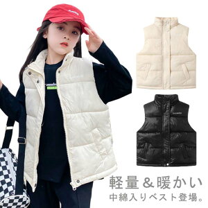 ~   xXg X^hJ[ j̎q ̎q H AE^[ _ExXg ȓ W LbY