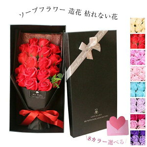   t[Mtg N ސEj j  ޏ  FB  av[g  a Mtg ԑ L[g