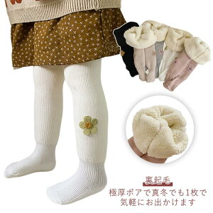 \bNX V 킢 MX ԕ qpC ^Cc Ɍ ~ w LbY xr[^Cc {A  xr[ ̎q