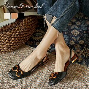 H  t R[f  Ȃ `L[q[ EȂ  tbg q[ 2.5Z` ɂȂ pvX T_