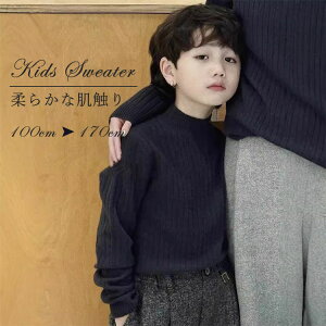 jp o Ǝ w 㒅 JWA Vv ʊw ʉ i Ԃ LbY xr[ 킢 H~ k v