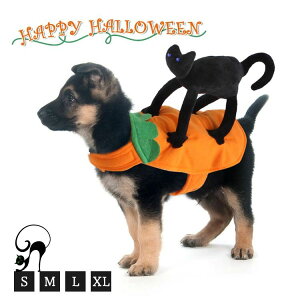 XL L M S o U _炩 ʋC Lm hbOEFA ~ H Ȃ肫  RXv ^ ^ ^ L 