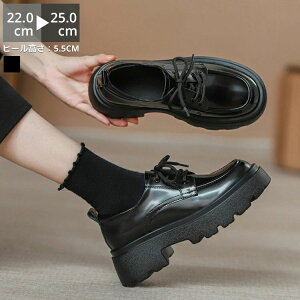 L R [hn ~ H  t R[f `L[q[ q[  [XAbv 5.5cmq[ EhgD fB[X C