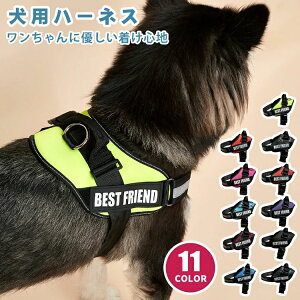 CjV  킢 qh~  EȂ Ȃ ȒP ^ ^ ^ qD  O n[lX 