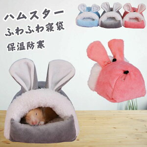 xe _炩 nbN `` bg nX^[ nlY~ Q  NbVxbh nX^[ ~p nEX