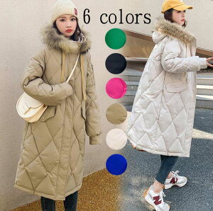  ꂢ ~AE^[ _ER[g p t[ht  _EWPbg ȃWPbg H~ O l ȃR[g