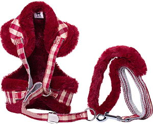 M bhiq o U h~ ߉\ ʋC ~p Ȃ ȒPE \tg Lp  n[lX