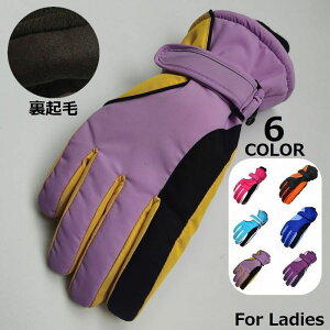  ~ AEghA X|[c h h ۉ  N h ~ 5{w fB[X Xm{ XL[ O[u 