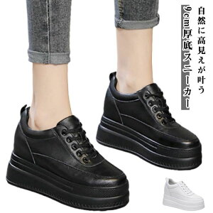 z V[Y C ₷ ɂ y   rXj[J[ 9cmUP gAbv V[NbgV[Y fB[X