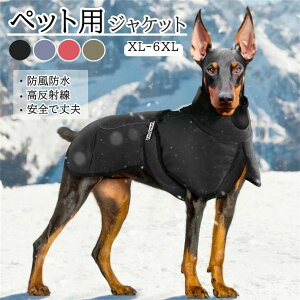 p`OWPbg ^pA^pA^p xl-6xl v pi ӂӂ