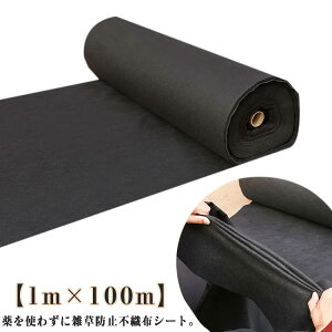  Ő lH UVܓ _pV[g V[g h  Gh~V[g sDzV[g [ V[g 1m×100m hV[g