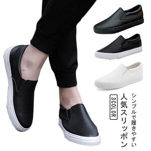  [Jbg ₷  H~ WjA y Y L Mtg ₷ Ȃ  Xb| U[ Xj[J[ t