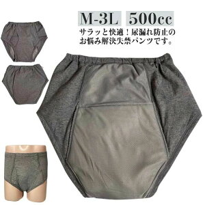 zV[ ˂ dxp d pA AR OJ փpc jp 傫TCY e փpc 500cc pc 