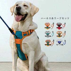 JoLx o U EȂ ɂ ʋC xg߉ ȒP ˃e[vt   ^