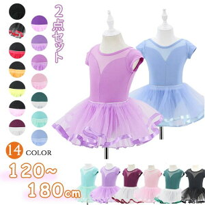 ҉Xibv _X 킢 bX WjA XJ[gt Zp[g LbY 2_Zbg ̎q q I^[h oG