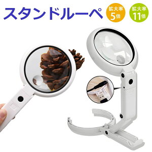 { hV̓ Mtg v[g 蕨 Ǐ ዾ V  莝[y 11{ 5{ LEDCgt Ǐp X^h [y