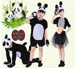 n  RXvq tNE yM p_  gL g JK[ jR[ bT[p_ p_ nEB