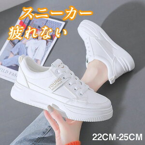  H  t y y TCY 傫TCY fB[X ₷ ɂȂ ʋC Ȃ 