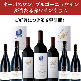 【赤ワインくじ】必ず15400円以上の豪華ワインが当たる！オーパスワン　ブルゴーニュプルミエクリュ　クール便配送