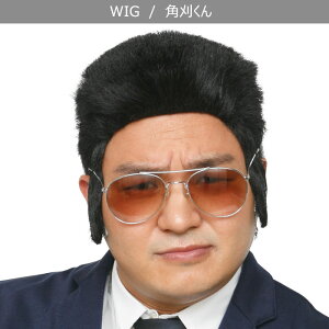 コスプレ 仮装 ヤンキー かつらの人気商品 通販 価格比較 価格 Com