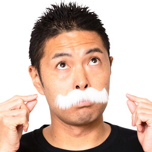 つけひげの通販 価格比較 価格 Com