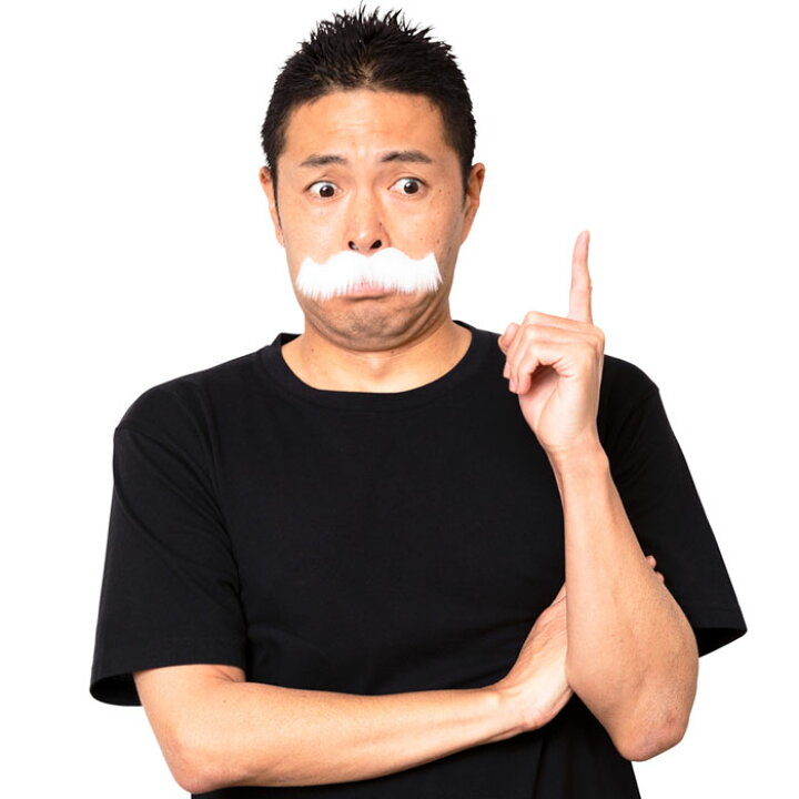 メーカー直送 つけヒゲ ひげ 髭 コスチューム 仮装用 大人 ハロウィン パーティー イベント コスプレ用品 黒 白 変装 おもちゃ パーティーグッツ おもしろい Materialworldblog Com