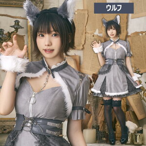  _XeBRtB Et Ȃ O[ Ht  T  Aj} t@[ Ԃ  T J`[V s[X 킢 ZNV[ RXvߑ RX RXv R