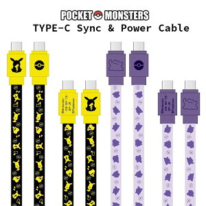|PbgX^[ [d/ʐM P[u USB-C to USB-C 1.2m PDΉ 60W 3A  [d  }[d [dP[u f[^] USBC USB ^CvC typec type-c C to C ^ X}z ^ubg galaxy xperia aqu