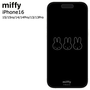 [ iPhone16e iPhone16 iPhone15 iPhone15Pro iphone14 14Pro iphone13 13Pro ~btB[ KX XN[veN^[ KXtB  tیtB wh~ یtB tB S AC