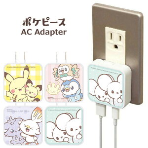 [ @Ή |PbgX^[ |Ps[X acA_v^ 3.4A } USB 2|[g ACA_v^[ typea type-a typec type-c ^Cvc X}z [d USB|[g |P sJ`E |b`} qoj