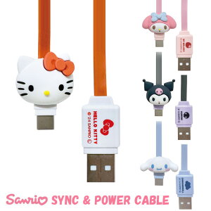 [  TI USB Type-CΉ }XRbg P[u [d ʐM USB-A to USB-C 0.6m 60cm   [dP[u USBC ^CvC USBA ^ X}z ^ubg ACpbh iphone galaxy ipad n