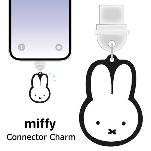 ~btB[ X}z USB Type-c RlN^`[ ^CvC typec `[ Xgbv ACtH iphone RlN^Jo[ CzWbN CzWbNJo[ sAX X}zsAX LN^