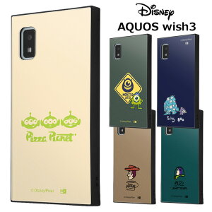  AQUOS wish3 fBYj[ XNGA nCubh P[X Jo[ \tgP[X gCXg[[ X^[YCN }CN T[ EbfB oY GCAANIX ANIXEBbV