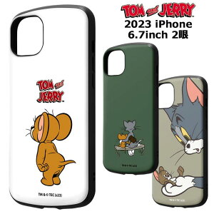 iPhone15Plus gAhWF[ ϏՌP[X MiA nCubh P[X Jo[ \tgP[X TPU n[hP[X LN^[ gWF[ gƃWF[ ACtH tBteB[ vX 