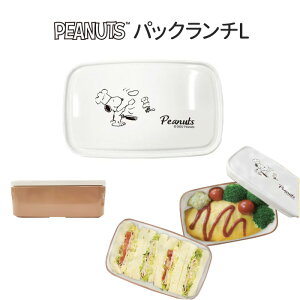 Xk[s[ pbN`L 430ml ` {bNX ٓ ٓ ٓ ٓObY ۑe pbN XgbJ[ Rei ① ۑ i [^ WΉ HΉ ^ W ӂ 