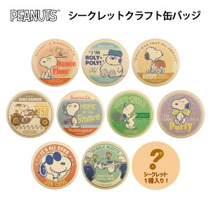  [10BOX] Xk[s[ V[Nbg NtgʃobW BOX {bNX ʃobW LN^[ It AfB s[ibc PEANUTS W[N[ ObY L g ob` ʃo J