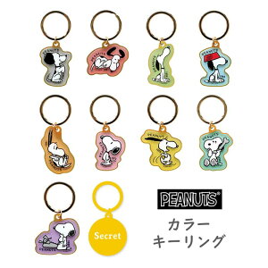  [10BOX] Xk[s[ V[Nbgt[~OJ[ L[O BOX {bNX s[ibc L[z_[ `[ L[`[  JM   ] obO`[ obO o