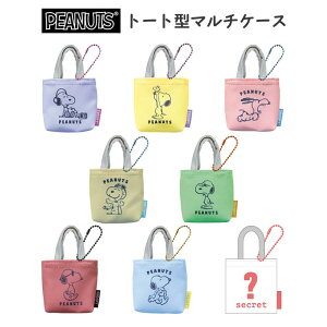  [8BOX] Xk[s[ V[Nbg g[g^}`P[X BOX {bNX s[ibc ~j g[gobO |[` L[z_[ `[ [ Cz CzP[X  