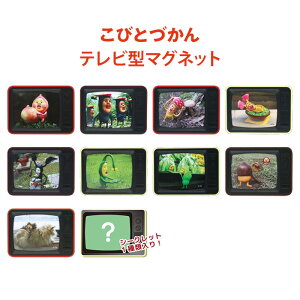  [10BOX] тƂÂ V[Nbg er^}Olbg BOX {bNX }Olbg  [ Xe[Vi[ ①  hA C LN^[ ObY JNW zg