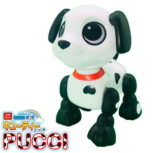 {ybg L[eB[vb` TKSK vb` PUCCI _VA   zCg u {bg {bg ybg{bg @\  j̎q ̎q w  q LbY  g